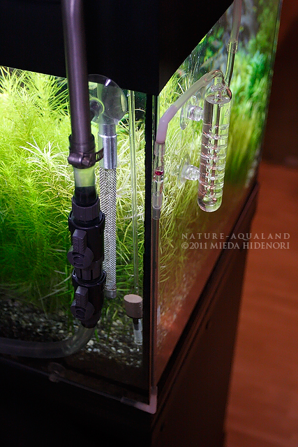 NATURE-AQUALAND osakana blog: 90cm水槽（青龍石）2011