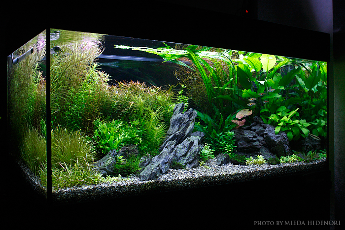 Image100120blog-2